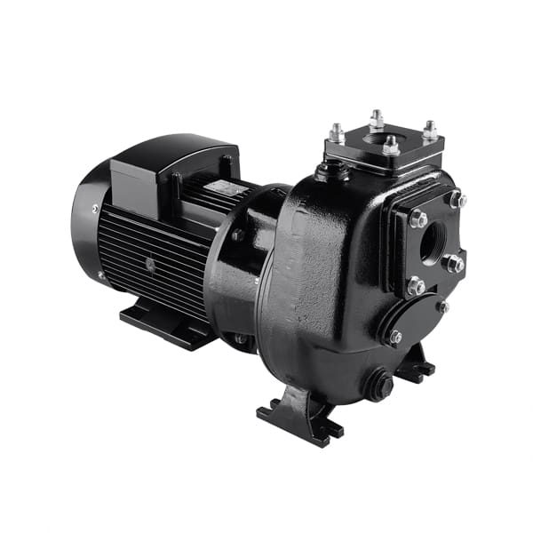Máy bơm tự mồi Davey Mukmova Jumbo MM07/03 10HP 380V Máy bơm tự mồi Davey Mukmova Jumbo MM
